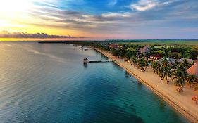 Almond Beach Resort At Jaguar Reef